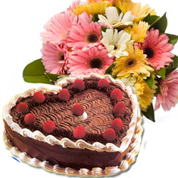 Choco Gerbs