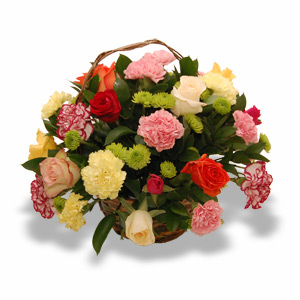 Basket of mixed carnations