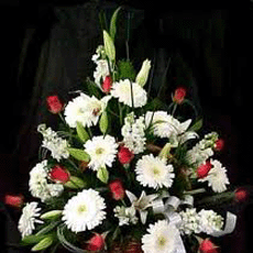 Beautiful arrangement of white carnations Basket