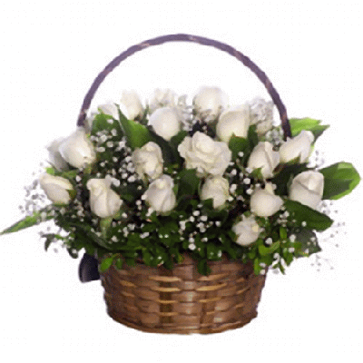 34 White Roses