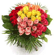 50 Mixed Roses Bunch