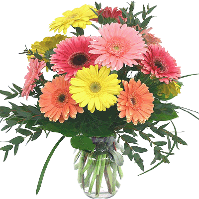Exotic Gerberas in a Vase