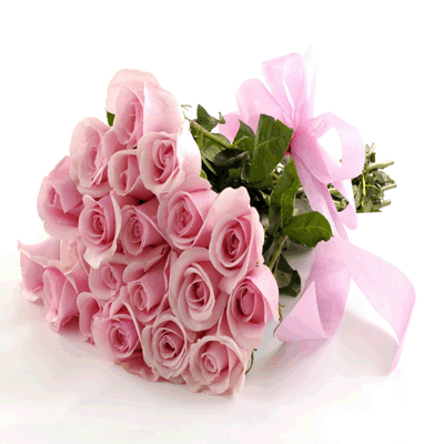24-pink-rose